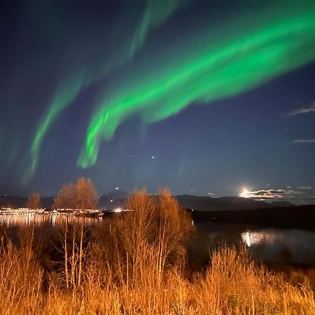 Aurora North Villa Тромсьо Екстериор снимка